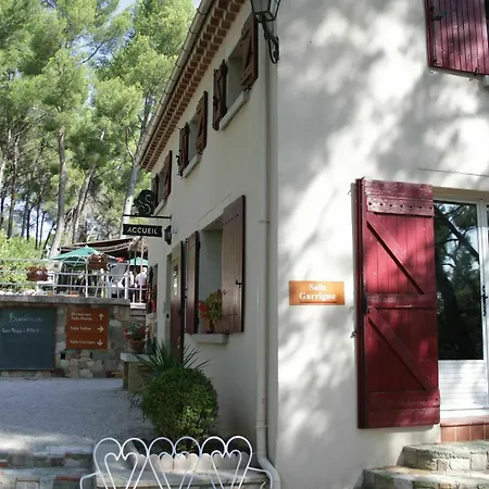 Des Ecureuils 3*